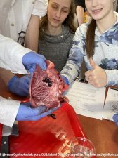 2022.05.24 - Warsztaty anatomiczne
