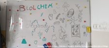 20240605-Drzwi_Otwarte-218